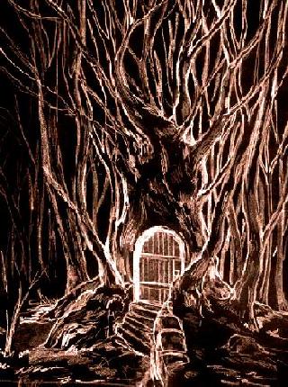 Ecco un albero probabilmente simile a quello nel quale attualmente Fenice trascorre la sua esistenza su #sogni ...