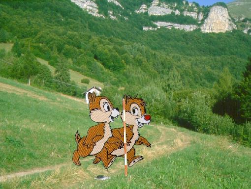 Ecco quel mago di Gandalf ... riconoscibile dal tipico naso rosso causato delle inumane bevute di grappa alla liquirizia !!! ... che passeggia per i prati di Minas Tirith in compagnia di Mansu ...